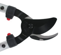 ARS LP40 Bypass Lopper -Felco Shop ARSLP 40 g2 gallery large 10422.1707092319