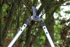 ARS LP40 Bypass Lopper -Felco Shop ARSLP 40 g6 gallery large 76443.1707092320