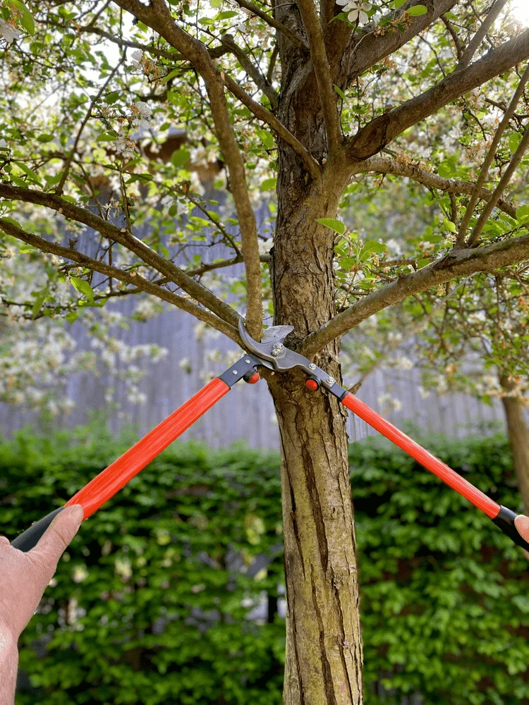 Bahco P16-60-F Professional 30mm Bypass Loppers With Steel Handle 2 Bahco P16-60-F Professional 30mm Bypass Loppers With Steel Handle - Image 2