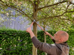 Bahco P16-60-F Professional 30mm Bypass Loppers With Steel Handle 13 Bahco P16-60-F Professional 30mm Bypass Loppers With Steel Handle -Felco Shop P16 60 F Professional 30mm Bypass Loppers with Steel Handle 4 14666.1707205330