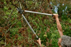 Bahco P173-SL-85 Professional 45mm Anvil Loppers With Lever Action And Aluminium Handle -Felco Shop bahco p173 sl loppers 4 81463.1707202738