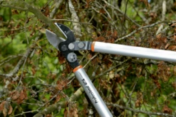 Bahco P173-SL-85 Professional 45mm Anvil Loppers With Lever Action And Aluminium Handle -Felco Shop bahco p173 sl loppers 5 15602.1707202738