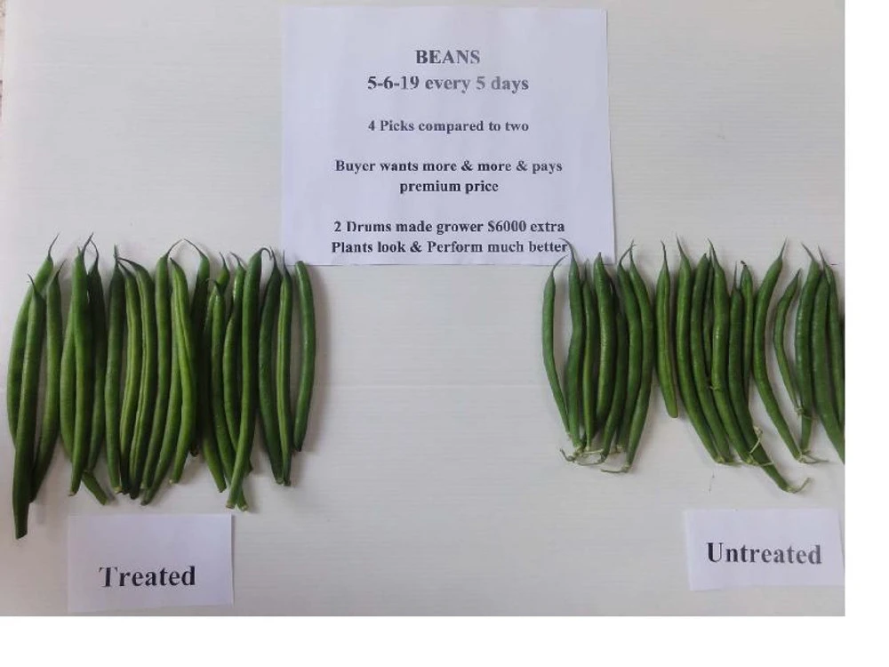 Natrakelp 5-6-19 2 Natrakelp 5-6-19 - Image 2