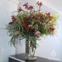 Anigozanthos Big Red - Kangaroo Paw -Felco Shop big red arrangement