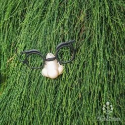 Casuarina Cousin It 15 Casuarina Cousin It -Felco Shop cousin it 4 fake nose