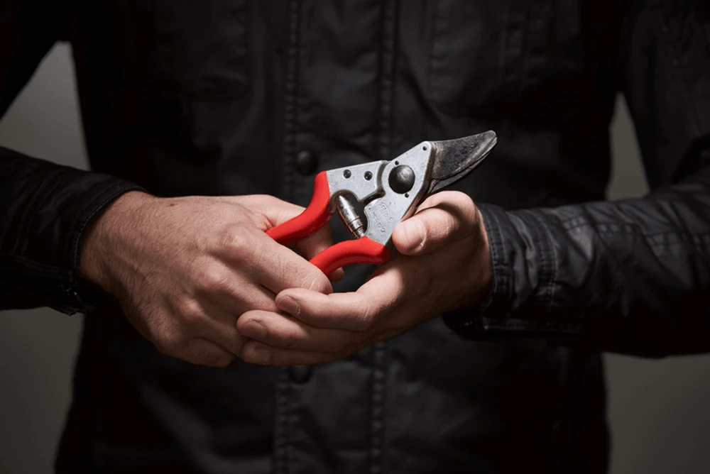 Felco 6 Secateurs 2 Felco 6 Secateurs - Image 2