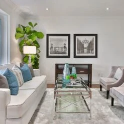 Ficus Lyrata - Fiddle Leaf Fig -Felco Shop fiddle leaf fancy room