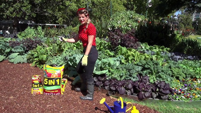 Felco Shop -Felco Shop hq720