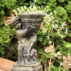 Lotus Red Flash - Parrot's Beak 12 Lotus Red Flash - Parrot's Beak -Felco Shop lotus planted