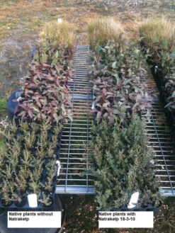 Natrakelp 18-3-10 -Felco Shop native 18 3 10 97906.1662942632