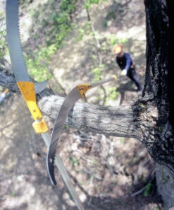 Silky Hayate Pole Saw Complete - Extendable 8 Silky Hayate Pole Saw Complete - Extendable -Felco Shop silky hayate 3 56178.1684377373