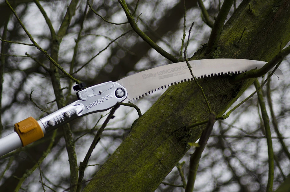 Silky 3.6m Longboy Folding Pole Saw - Extendable 2 Silky 3.6m Longboy Folding Pole Saw - Extendable - Image 2